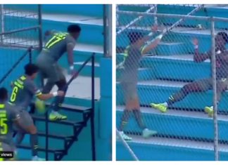 Радост до небо – Постигна гол се качи на трибини и си аплаудираше (видео)