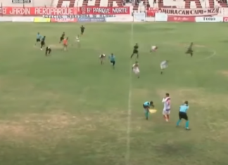 Страшно: Навивач среде натпревар пукал во тренерот! (ВИДЕО)