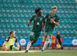 Брегалница пробува камерунец во нападот