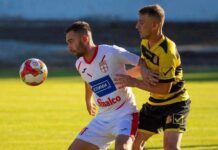 Силекс и Пелистер во трка за Мишов