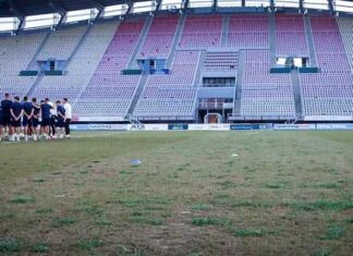 КРАЈ НА БРУКАТА! ФФМ ја спасува арената со нов хибриден терен!