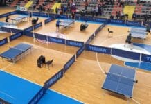 Стартува серијата World Table Tennis Contender Skopje 2026