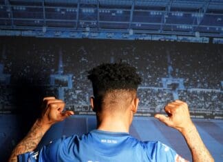 Хофенхајм ќе напаѓа со Орбан