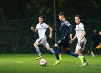 Цветаноски и Жељо славеа на тест-мечот со Силекс