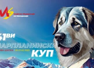Сè е подготвено за 41. Шарпланински куп