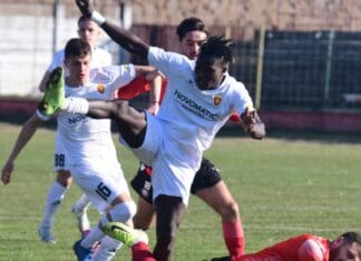 Седло со дете од Вевчани ја освои Струга