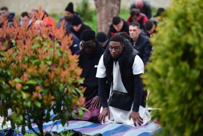 Mato i Dianesi vo gjamija