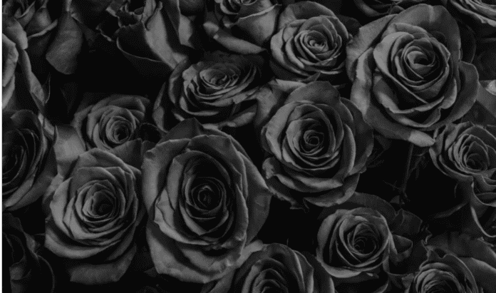 Screenshot 2025-03-16 084202