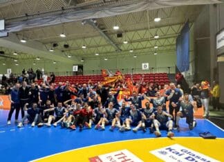 Добра вест: Дуелот меѓу АЕК и Алкалоид со директен пренос на МРТ