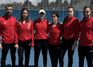 Македонија поразена од Египет, Ѓорческа поради повреда предаде