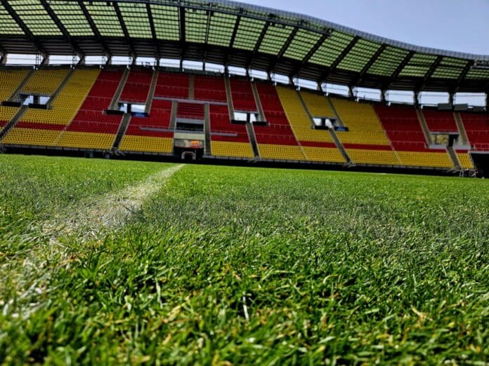 arena todor proeski