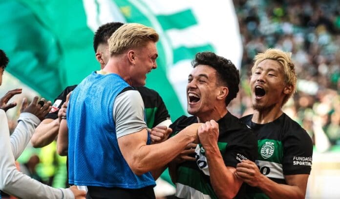 sporting sampion