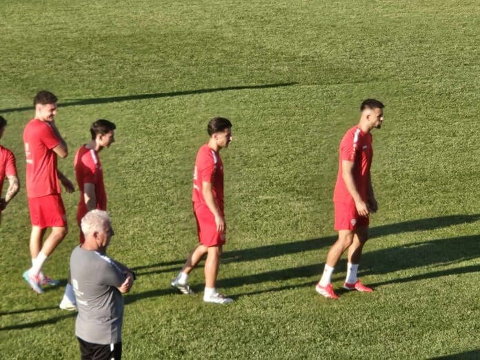 Bardi na trening