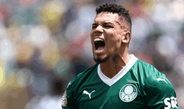 Palmeiras