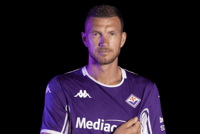 Djeko Fiorentina
