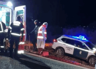 Познати се деталите: Начинот на кој загинаа Жота и неговиот брат е застрашувачки