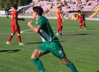 ПМФЛ Полувреме: Пелистер поведе, МЃП израмни, без голови во Кавадарци