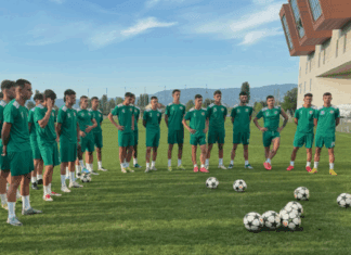 ФИФА со суспензија за Брера во следните три преодни рокови