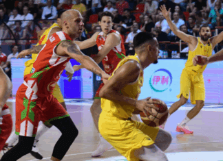 Браво: Одлична Македонија и победа против Унгарија! (ФОТО)