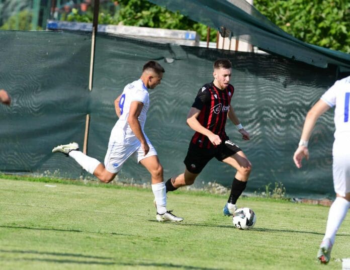 Vane Krstevski Skendija - Skupi