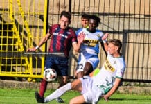 Силекс со три од три сезонава