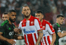 Невидена бламажа: Ц. Звезда – Радник Сурдулица 1:1! Милојевиќ добива отказ!