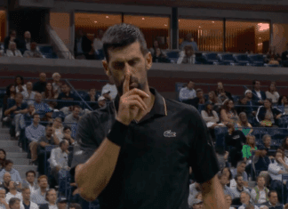 “Новак е полуписмен човек, кој е платен да ја урива Србија“!