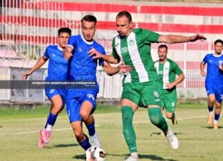 Дестани: Со максимална посветеност можеме да излеземе како победници