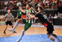 Како изгледа табелата во Супер-лигата пред дербито меѓу Вардар 1961 и Пелистер?