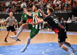 Како изгледа табелата во Супер-лигата пред дербито меѓу Вардар 1961 и Пелистер?