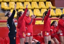 Грчевски го скрати списокот за двомечот со Белгија