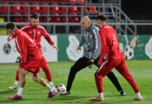 Се подготвува стратегија за Белгија: Репрезентативците со засилени тренинзи (ФОТОГАЛЕРИЈА)