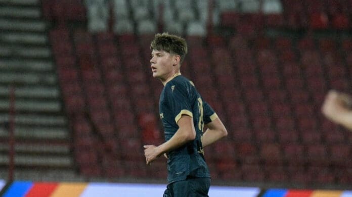 9207_aleksa-mitic_orig