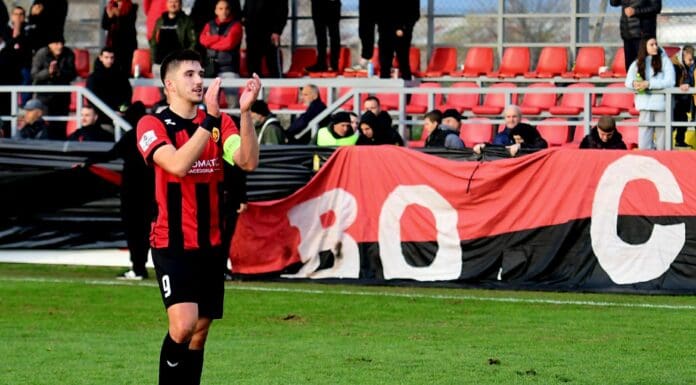 Капитенска дисертација на Омерагиќ