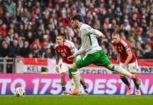 Португалија на Мундијал, Ирска ја расплака Унгарија