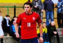 Синот на Буфон растура за Чешка