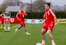 Хари Вилсон: Знаеме колку е важно да победиме против Македонија!