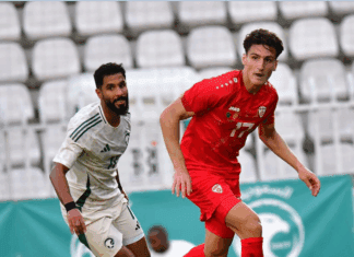 Ќамили: За мене овој меч ќе биде необичен, но Данска секако е фаворит