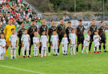 Две нови имиња во списокот на Станиќ за дуелите со Шведска и Полска