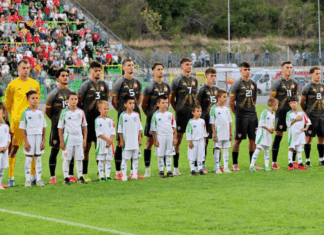 Две нови имиња во списокот на Станиќ за дуелите со Шведска и Полска