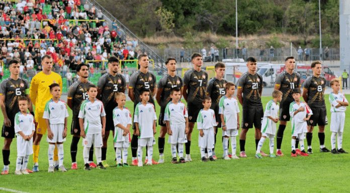 Две нови имиња во списокот на Станиќ за дуелите со Шведска и Полска