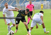 Брера би била перфектен „лек за раните“ на Пелистер