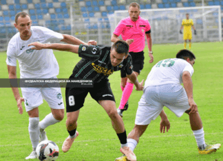 Брера би била перфектен „лек за раните“ на Пелистер