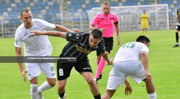 Брера би била перфектен „лек за раните“ на Пелистер