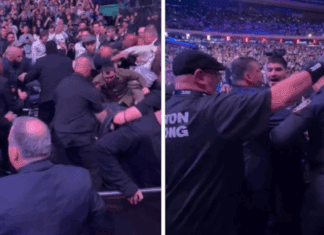 Масовна тепачка во УФЦ: Тимскиот колега на Мекгрегор во конфликт со Дагестанци (ВИДЕО)