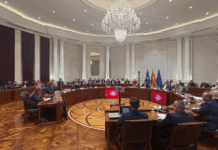 Спортот и спортската дипломатија првпат вклучени во Националната стратегија за соработка со дијаспората 2026-2030