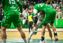 Првакот е под голем притисок: Алкалоид го пречекува Пелистер во дербито на колото!