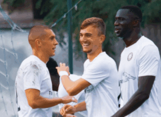 ПМФЛ: Струга ТЛ знае како против “Лавовите“, Работнички – Тиквеш 0:2!