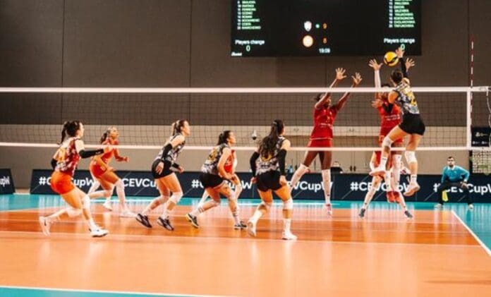 rabotnicki zeni odbojka