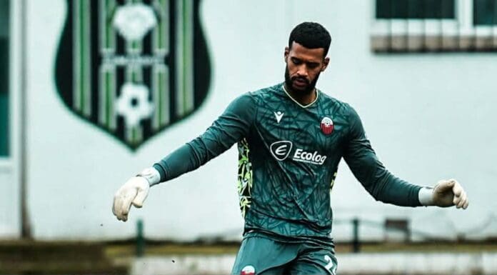 Гаје: Допрва сезонава доаѓа најдоброто од Шкендија